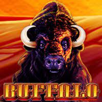 Buffalo