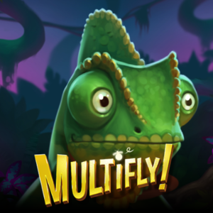 Multifly